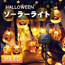 【商品仕様】 ソーラーパネル：2V/170mA LED：30LED サイズ：6M 重さ：330g 充電時間：約8時間 使用時間：8-14H LEDを30灯利用しますし、6mのケーブル全長で、リード約1.5mで、15cmの球間隔で、小さいフェンスやドアや階段等に飾ることができます。 全灯モード、フラッシュモードを調節することができます。 ソーラー充電。環境にやさしい。 防水加工なので、室内屋外兼用です。 庭園、玄関先やリビング、壁にかけるのはもちろん、そのまま置いて植物などと一緒に飾ってもかわいいです。 【注意点&お取扱い】 ▼モニターの発色の具合によって実際のものと色が異なる場合がある。