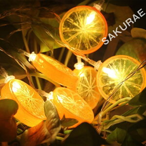 イルミネーションライト LEDライト オガーランドライト デコレーションライト オレンジ レモン 柑橘系モチーフ 3m ハロウィン クリスマス 電池式 USB式