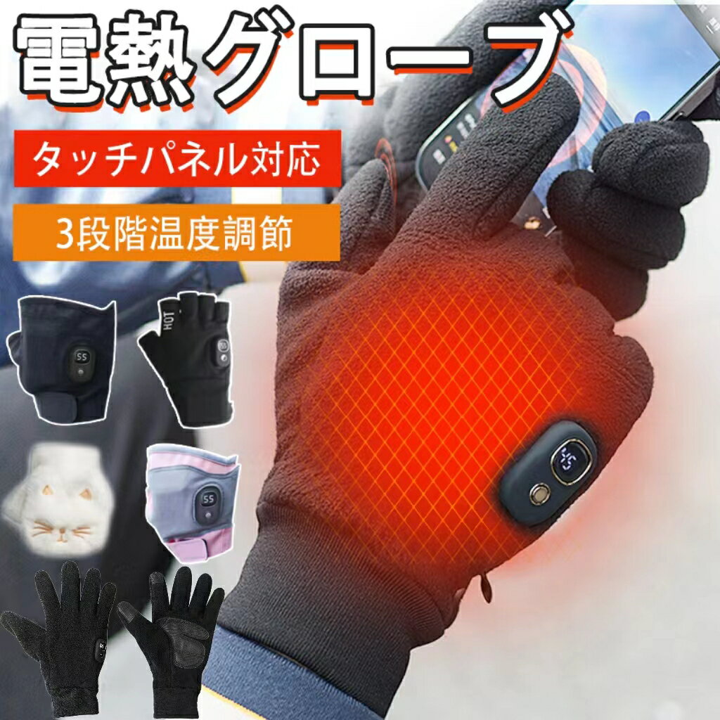 ＼P5倍／【第4代】電熱グローブ ヒ