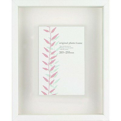 クリアボックスフレーム ホワイト 30角サイズ (300×300mm) APJ アートプリントジャパン