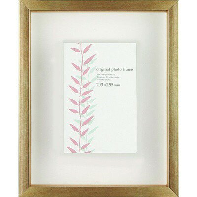 クリアボックスフレーム シャンパンゴールド A4サイズ (210×297mm) APJ アートプリントジャパン