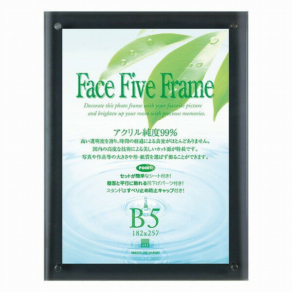 APJ フォトフレーム フェイスファイブフレーム スモーク B5サイズ（182×257mm）
