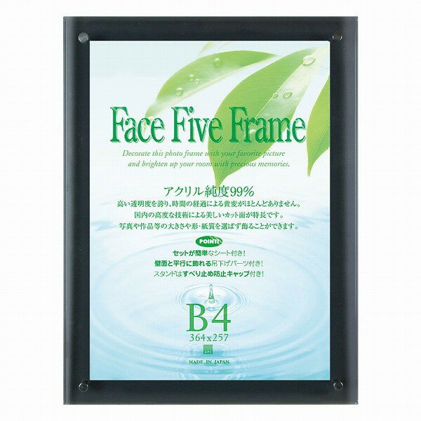 楽天市場】フェイス ファイブ フレーム b4の通販