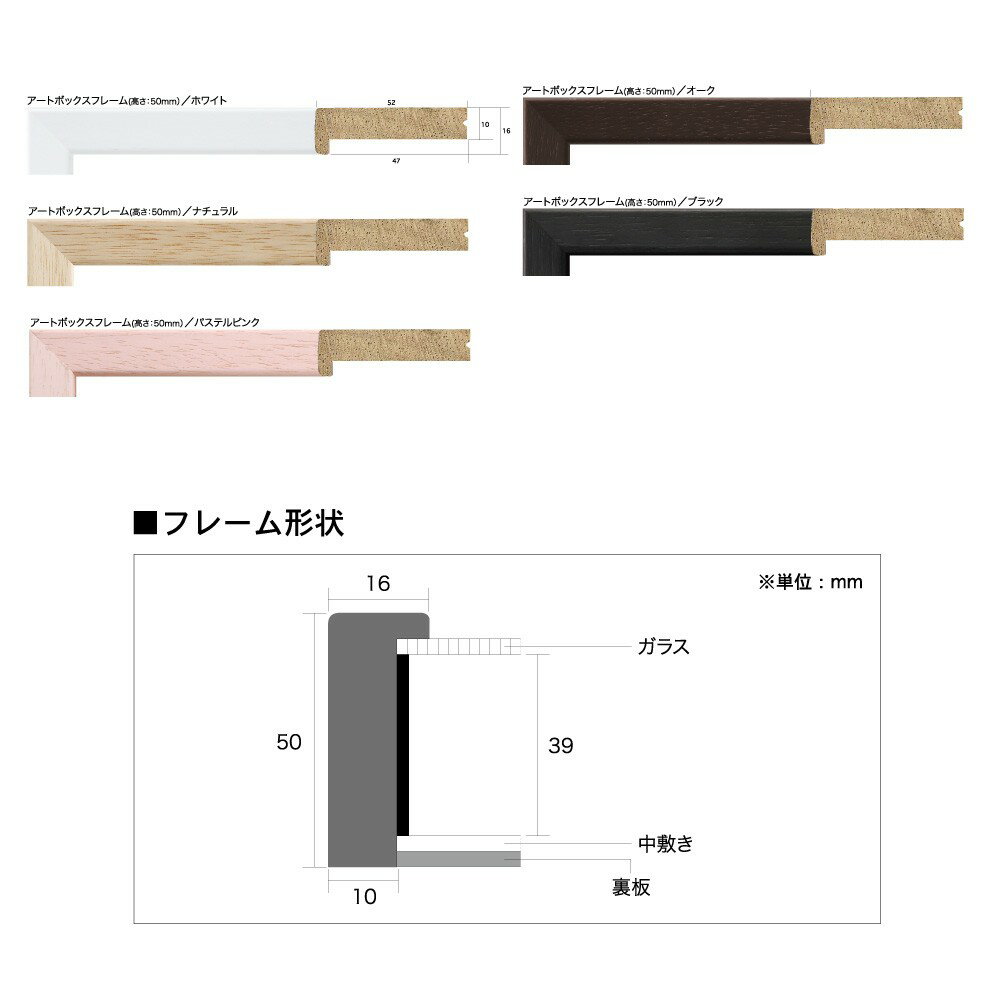 �����ȥܥå����ե졼��(�⤵50mm) ������ B5������ (182��257mm) APJ �����ȥץ��ȥ���ѥ�
