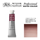 W N PWC 5ml チューブ 125 キャプトモータムバイオレット Winsor Newton プロフェッショナル ウォーターカラー 最高級透明水彩