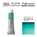 W N PWC 5ml チューブ 719 ウィンザーグリーン（ブルーシェード） Winsor Newton プロフェッショナル ウォーターカラー 最高級透明水彩