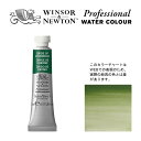 W N PWC 5ml チューブ 459 オキサイドオブクロミウム Winsor Newton プロフェッショナル ウォーターカラー 最高級透明水彩