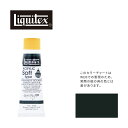 リキテックス ソフト6号(20ml)チューブ 126 パーマネント フーカス グリーン ディープ ヒュー G-2 アクリル絵具 Liquitex