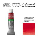 W&N PWC 5ml チューブ 895 カドミウムフリー レッドディープ Winsor&Newton プロフェッショナル・ウォーターカラー 最高級透明水彩