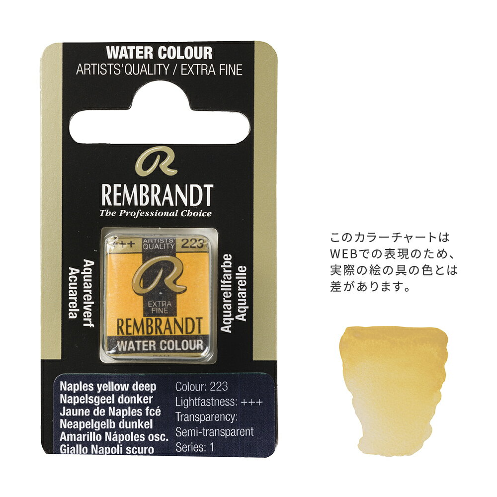 【在庫限り】レンブラント固形水彩 223 ネープルスイエローディープ (T0586223-1)