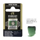 レンブラント固形水彩 645 フーカーグリーンディープ (T0586645-1)