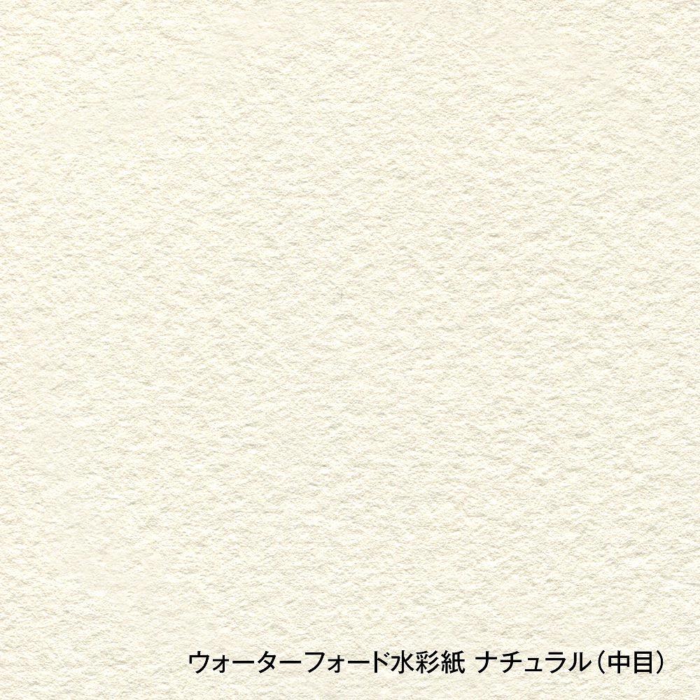 3冊セット ウォーターフォード水彩紙 ナチュラル ブロック 300g 中目 EB-F8 (270915)