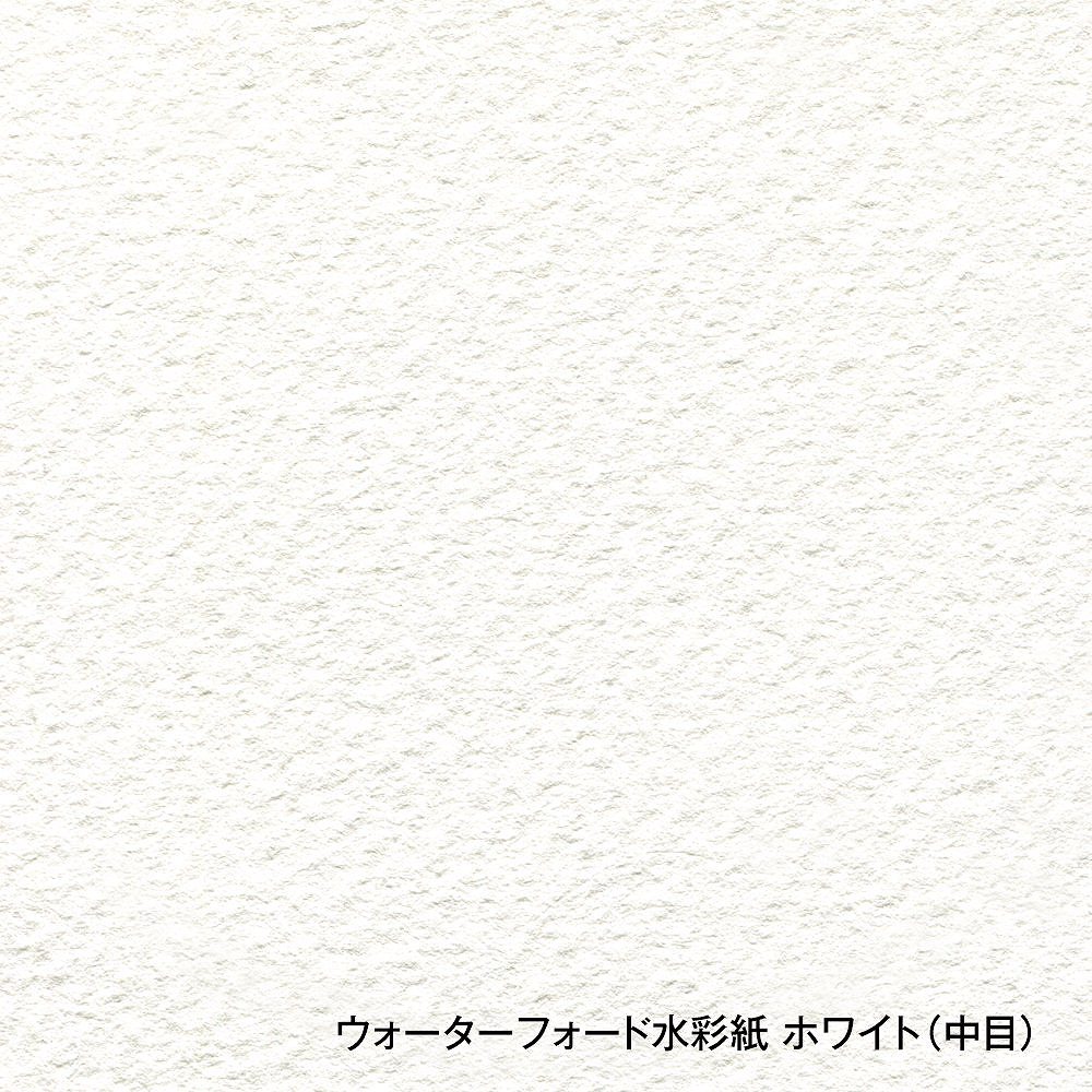 3冊セット ウォーターフォード水彩紙 ホワイト ブロック 300g 中目 EHB-F8 (270935)