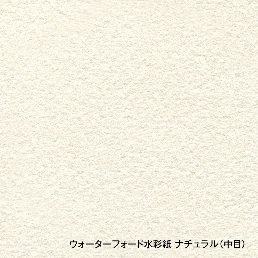 ウォーターフォード水彩紙 ナチュラル 中判（560×760mm）425g 中目 10枚セット (261524)
