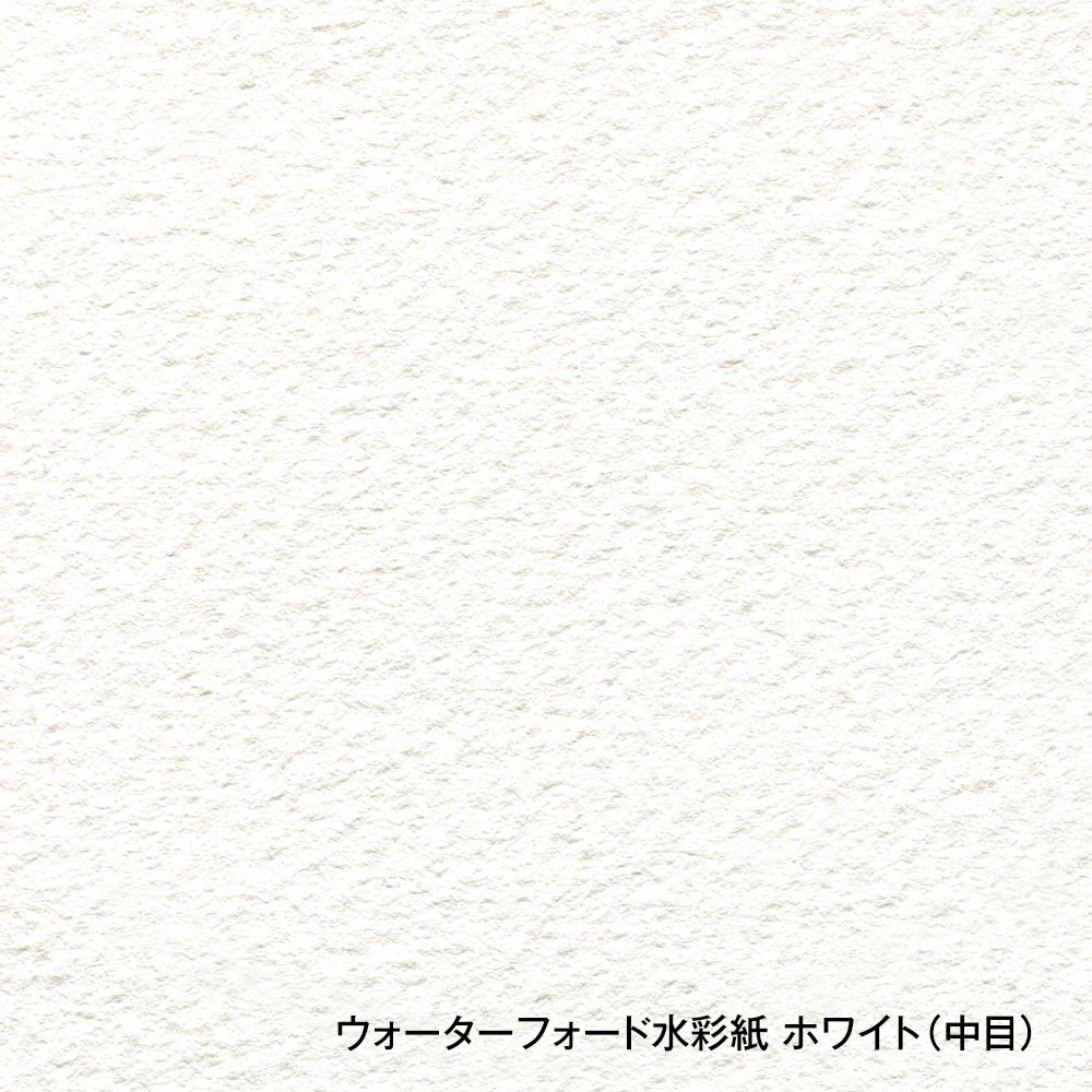 �����������ե����ɿ�̻� �ۥ磻�� ��Ƚ��560��760mm��190g ���� 10�祻�å� (261604)
