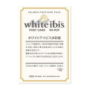 5冊セット ホワイトアイビス水彩紙 ポストカードパック 300g 中目 WI-PCP (271325) ホルベイン HOLBEIN ホルベイン HOLBEIN