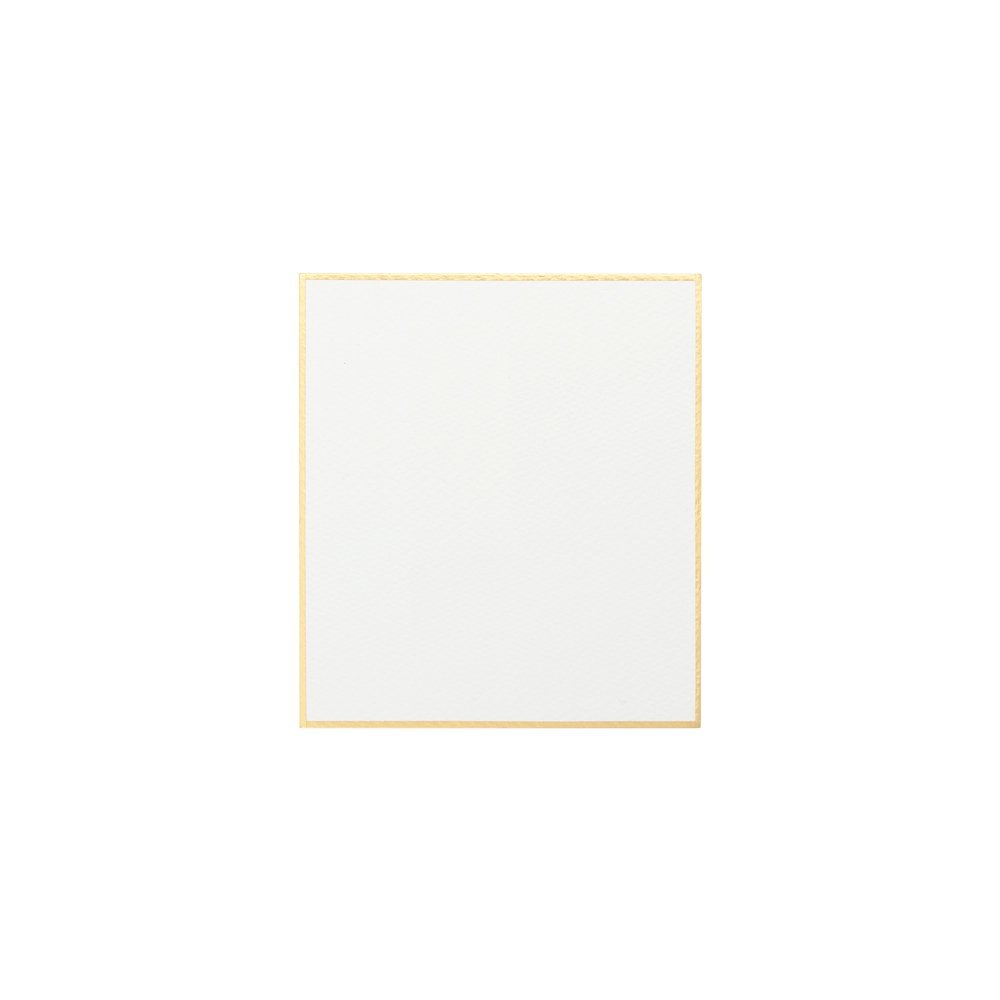 5個セット ホワイトアイビス水彩色紙 1/4色紙 300g 中目 WSK-02（5枚入） (271332) ホルベイン HOLBEIN ホルベイン HOLBEIN