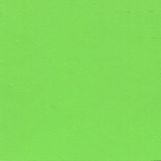 ホルベイン イージーペイント 500ml EP021 ライト グリーン (12021)