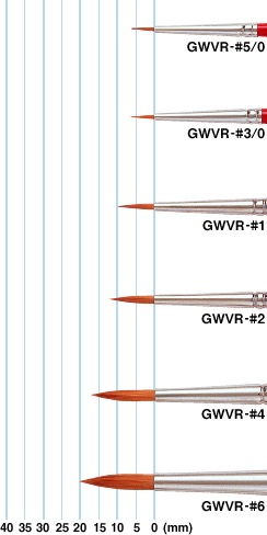 �����󥴥åۥӥ��奢��ɮ�ʴ�ɮ�ˡ�3��0 (GWVR-#3/0) /�������