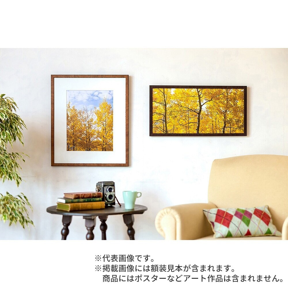 水彩額縁 カリマンタン オーク 水彩F4 額内寸(473×382mm) 表面(アクリル) ラーソン・ジュール