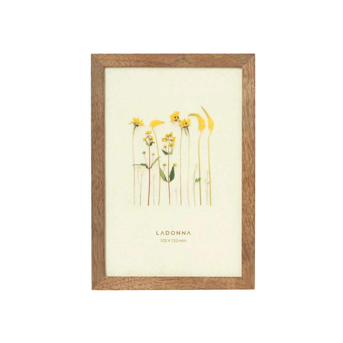 ラドンナ フォトフレーム(リビング) DF53-P-BR ポストカード判