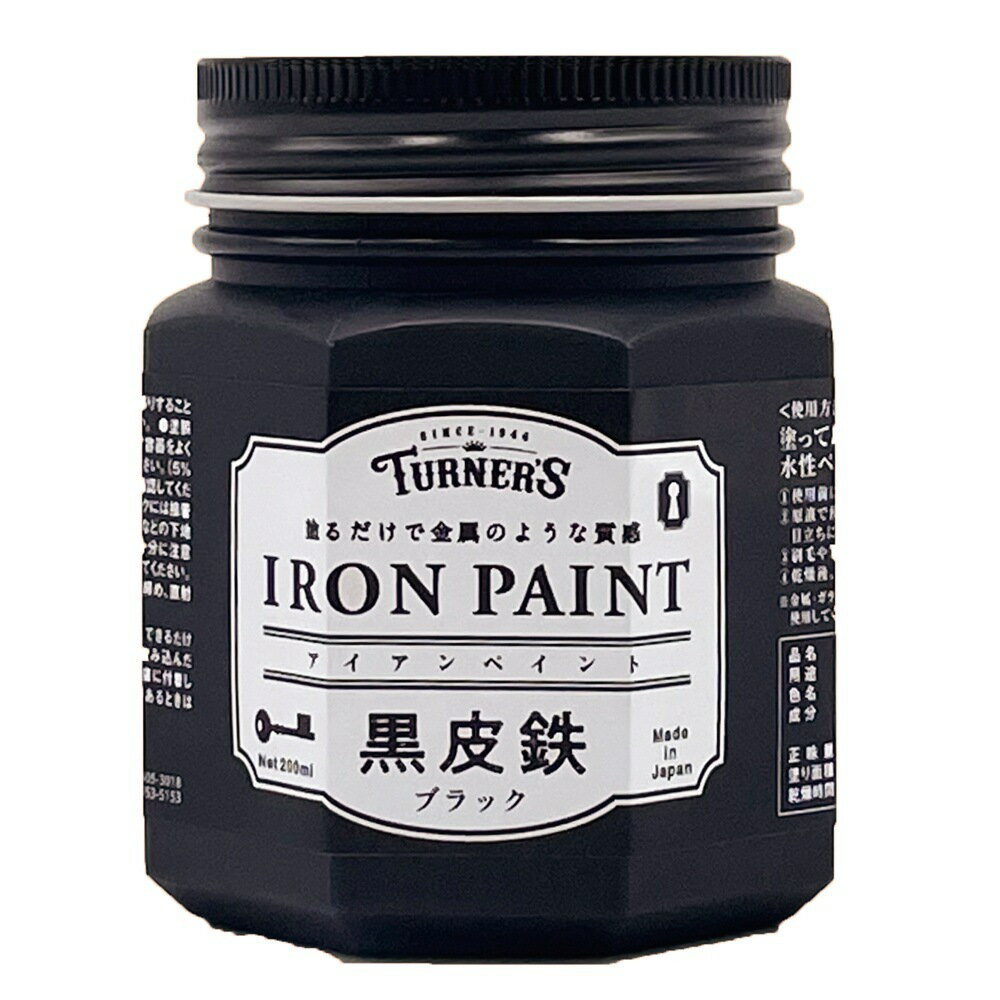(3本セット) ターナー色彩 アイアンペイント 200ML 黒皮鉄ブラック (IRK200