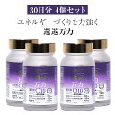 【4個セット】還元型 コエンザイムQ10 「還巡万力　かんじゅんまんりき」約30日分 乳酸菌ラブレ 乳酸菌 サプリメント サプリ 高品質 健康食品 30日分 調活 潤い 乳酸菌 リフレッシュ 補酵素 酵素 ビタミン ビタミン接種 免疫改善 老化防止 栄養摂取 エネルギー メンズ