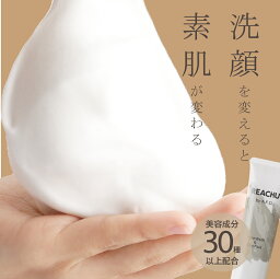 洗顔 洗顔フォーム 泡 洗顔料 ニキビ メンズ 泡立て 毛穴 男 100g 濃密泡 ユニセックス もちもち クレイ 泥パック スキンケア プラセンタ 泥洗顔 REACHU リーチュ マリンシルト 通常￥2980 【送料無料】