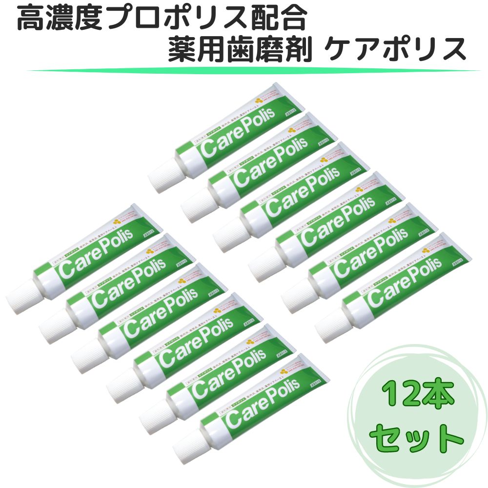 ★最大2000円OFFクーポン★ケアポリス 12個 歯みがき粉 歯磨き粉 歯周病 研磨剤なし 無研磨 口内炎 プロポリス 薬用歯磨 オーラルプラス 75g