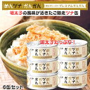 ★最安値に挑戦中★【翌日配送(対象地域のみ)】 めんツナかんかん プレミアム 計6缶セット 各90g 缶詰 国産びん長まぐろ使用 ツナ缶 送料無料 プレミアムか...