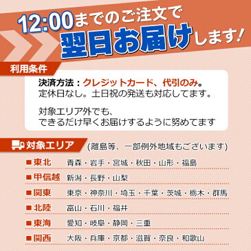 【クーポンあり】小笠原陸兆 フィッシュパン ふた付き | 南部鉄器 IH対応 魚焼き フライパン グリルパン 岩手 奥州 水沢 小笠原鋳造所 伝統工芸 職人 手仕事 和 人気 おしゃれ おすすめ ギフト お祝い プレゼント モダン デザイン シンプル