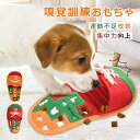 【10倍ポイント限定】ペットおもちゃ ノーズワーク スリッパ 犬おもちゃ 訓練グッズ 犬 知育玩具 スローフード おやつ隠し 教育 頭と体も使う 知育ノーズワー...