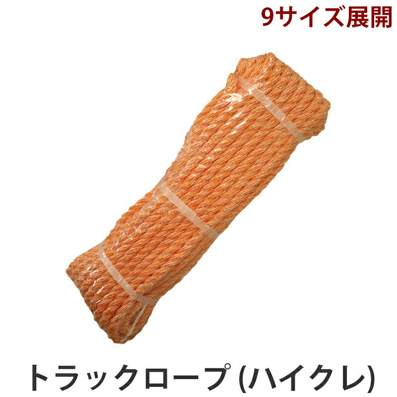 PROCO トラックロープ クレモナ・ポリ混 ハイクレ 10mm×10m アルデ