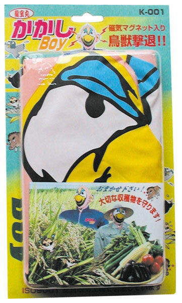 かかしBOY ※取寄品 高芝ギムネ No.K-001