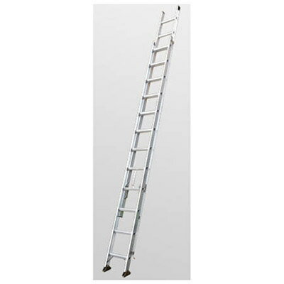 Ladders - 2連はしご スーパーコスモス(全長：5.95m)メーカー直送 代引不可 個人宅不可 PICA 2CSM-60