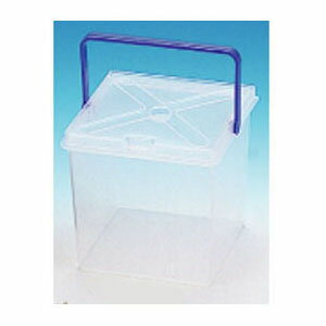 ミスタービスジュニア(B-170・クリア) リングスター B-170