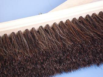 �����֥饷 ������ ���� 6�� 1���� ���Υ��� IS-1556