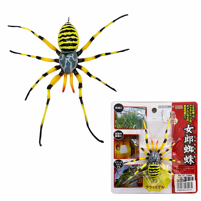 女郎蜘蛛 ジョロウグモ 害虫対策 取寄品 高芝ギムネ M-46 ( 害虫対策 虫よけ 虫除け 天敵 )