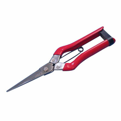 庭太郎 長刃芽切鋏【ステンレス】 片山利器 600320