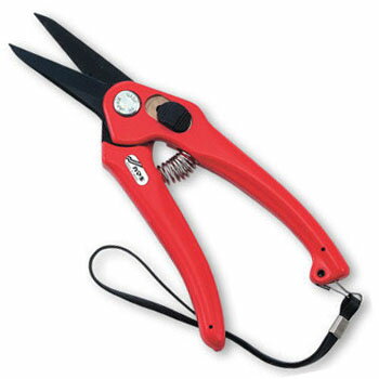 ������ �ƥե���ϡ�ľ�� 195mm ���ޥ� P-901