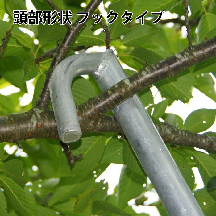 ����߰�������(Ƭ�����꥿����) Ƭ������(2)�եå������� ��Ĺ3.24-3.74m �������� ľ�� ����Բ� �ʥ��� HD-6