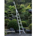 アルミ一本梯子(頭部固定タイプ) 頭部形状(2)フックタイプ 全長3.85-4.35m 受注生産 直送 代引不可 ナガノ HD-8
