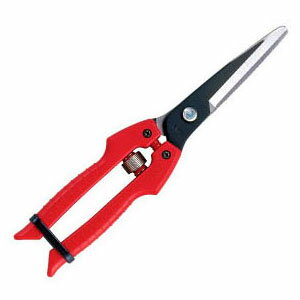 青果鋏 替刃式(箱入り) アルス SE-65