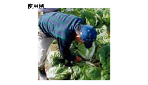 �������� �ھ��� �ӥˡ����������å� �����ڹ� 09310