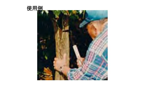 ���������ڤ����� �����ڹ� 09335