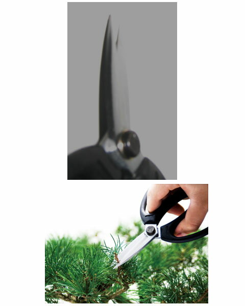 大久保型花鋏 五十嵐刃物工業 OK-185