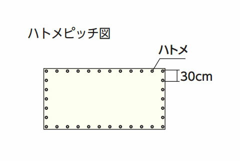�饤�ȥ��ꥢ��å��奷���� ��3.6m��Ĺ��5.4m ���ꥢ �ȥ饹�� LCM-3654-TM