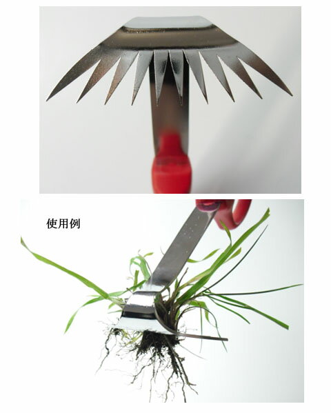 ���֥�� �����ѡ�����ť� 260mm ��������� �饯�� 35105