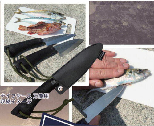 Raccoon ��ǽ�ʥ��� �ҿ� 120mm �ߤ�������¼ TS184