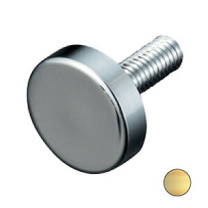 乐天商城 - 化粧ボルトEF フラットタイプ ゴールド 取寄品 パイオニアテック PT-E25F15-GO